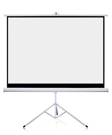 projector screen 100 inch
