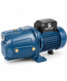 KING EAGLE KE100L Electric Water Pump on white background