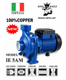 KING EAGLE KE5AM Electric Water Pump on white background