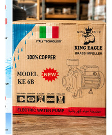 KING EAGLE KE 6B Electric Water Pump original packaging