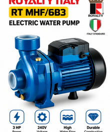 ROYALTY ITALY RT MHF/6B3 Electric Water Pump on white background